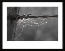 Fotografía blanco y negro. Serie Premium.