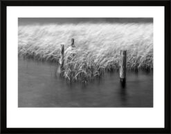 Fotografía blanco y negro. Serie Premium.