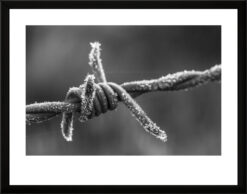 Fotografía blanco y negro. Serie Premium.