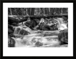 Fotografía blanco y negro. Serie Premium.