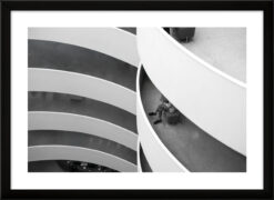 Fotografía blanco y negro. Serie Premium.
