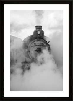 Fotografía blanco y negro. Serie Premium.